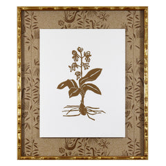 Botanical 39B