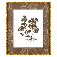 Botanical 53A