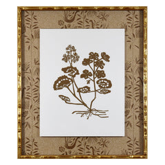 Botanical 53B