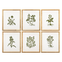 Botanical 61