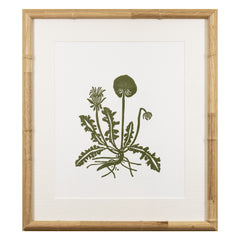 Botanical 64
