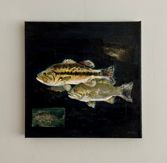 Bass Fishing