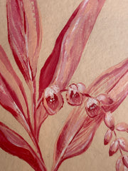 Pink Porcelain Lily