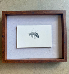 Bee 1