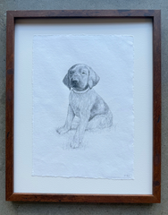 Pup