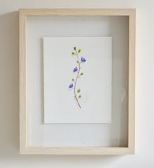 Purple Flower 1