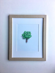 Succulent Study 1