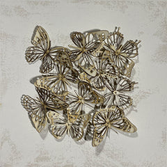 Butterfly Group 2