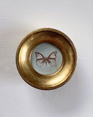 Brown Butterfly