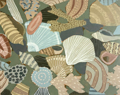 Calm Clams