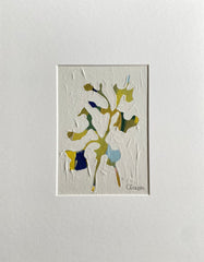 Yellow Sweetpea
