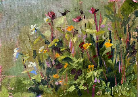 David's Wildflowers