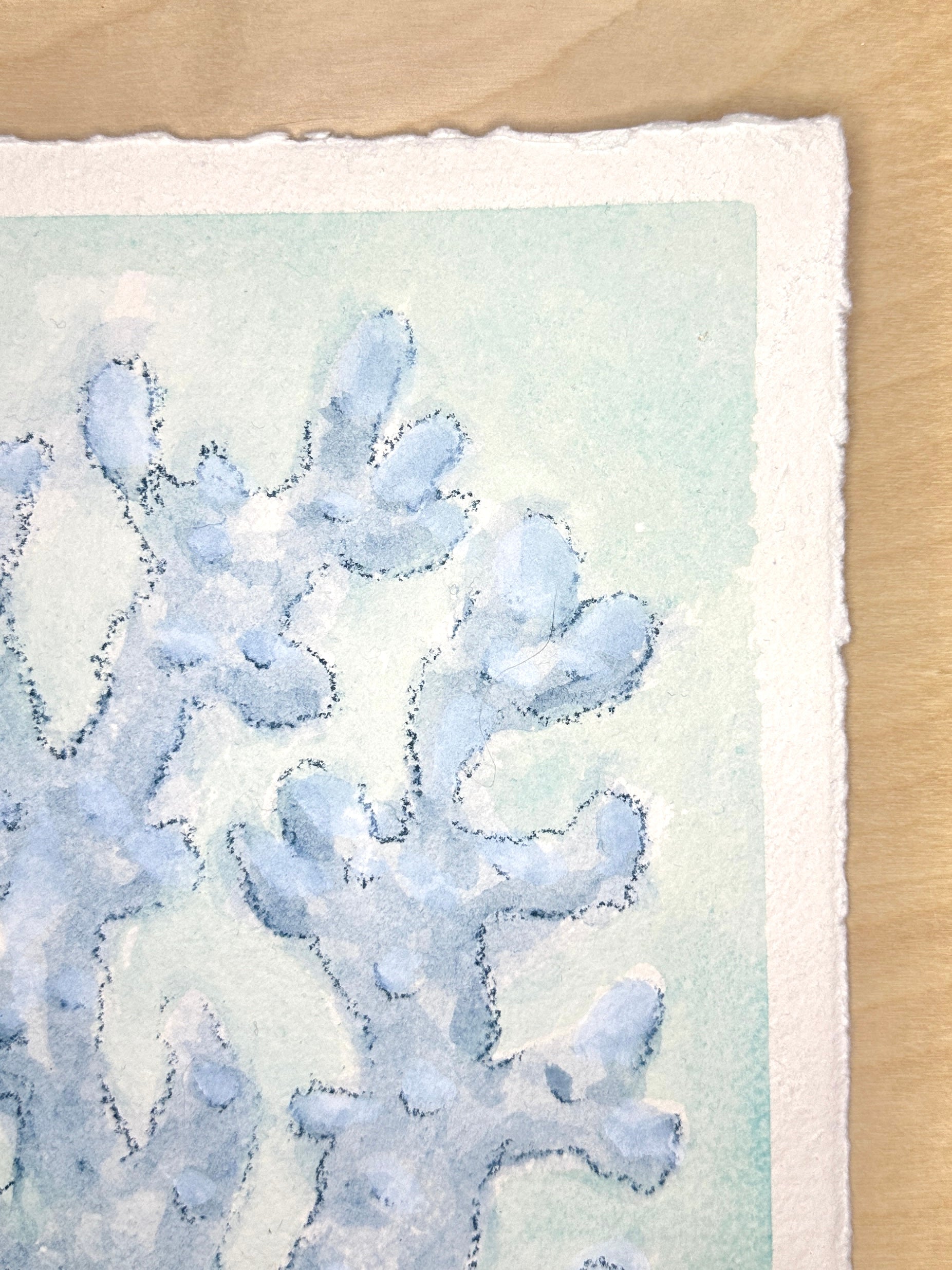 Blue Coral No. 2