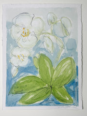 Wild Orchid No. 5