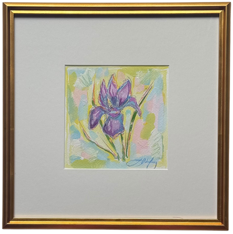 February Iris