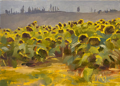 Ready for the Harvest