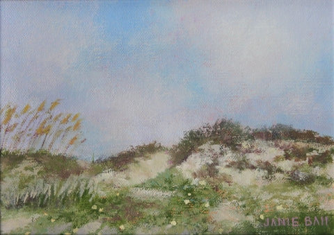 Isle of Palms Dunes