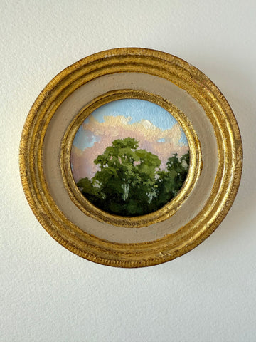 Sunset Treetops IV