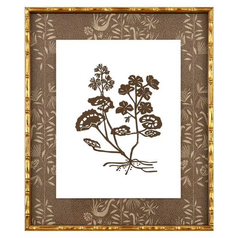 Botanical 53A