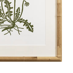 Botanical 64