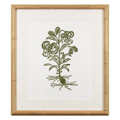 Botanical 66