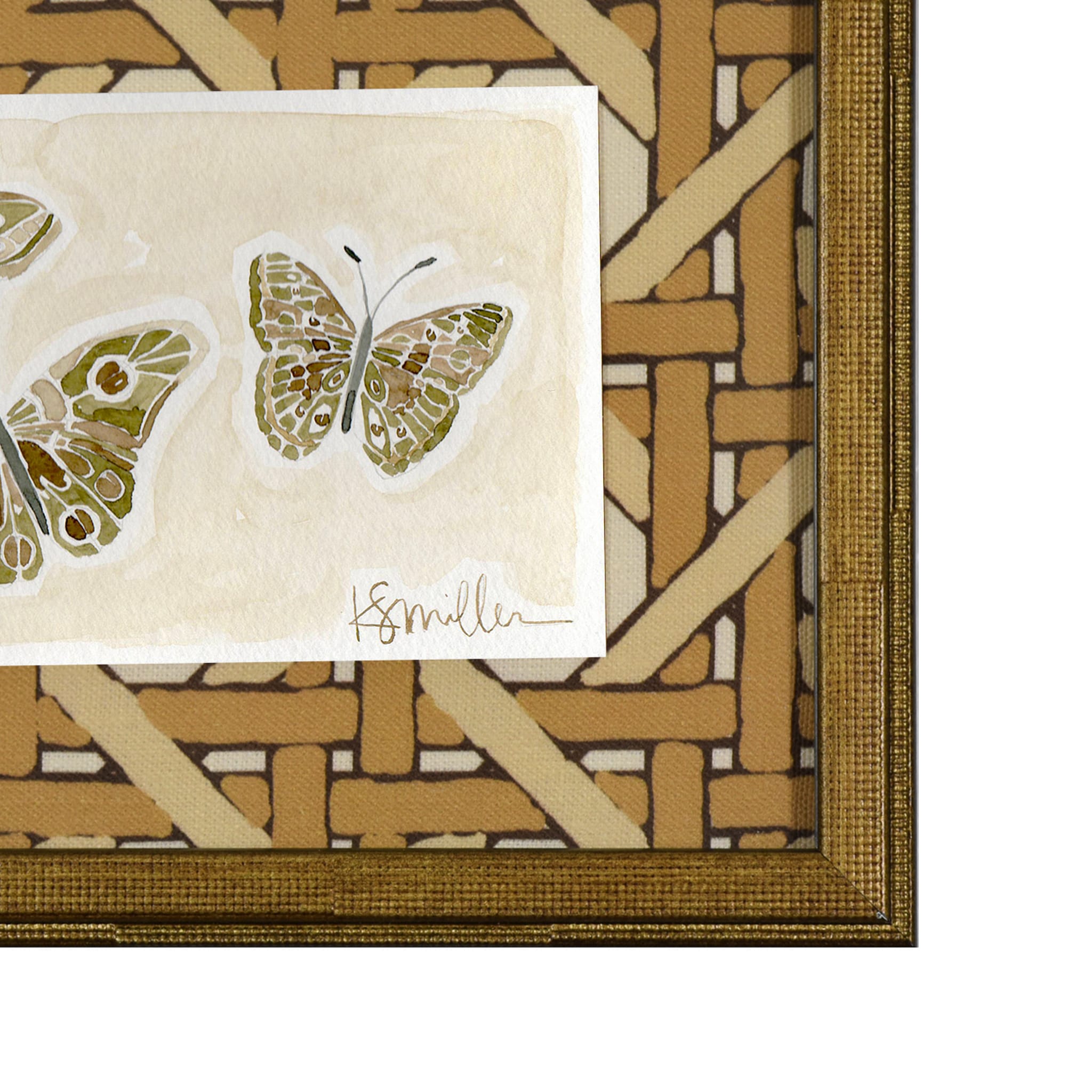 Butterflies 012