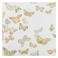 Butterflies 01