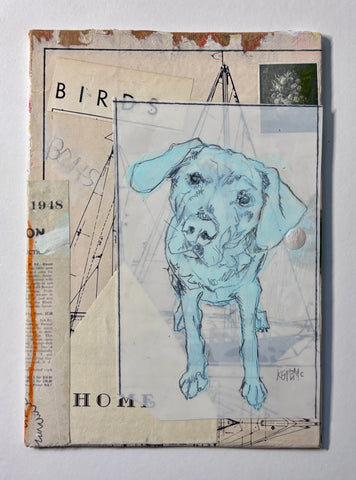 Birds, Boats & Dogs