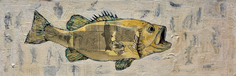 The Catch