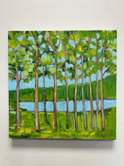 Radnor Lake Study