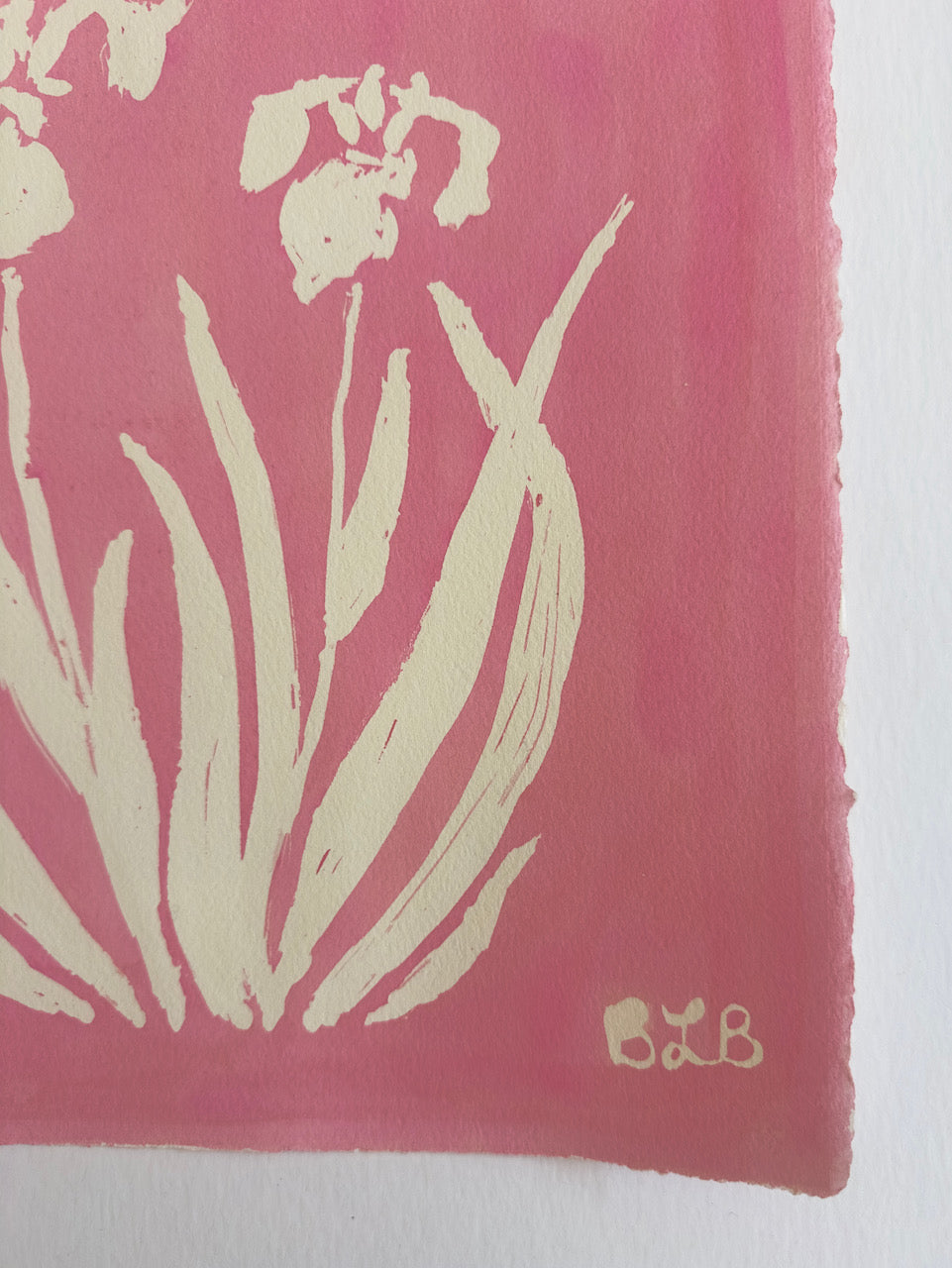 Pink Flag