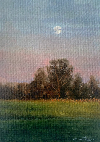 Little Moon