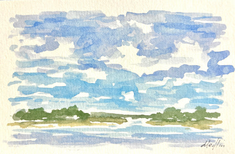 Marsh Views V