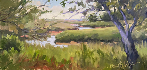Meandering Flow
