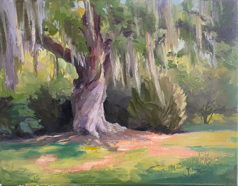Mepkin Oak