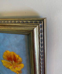 Nasturtium Study