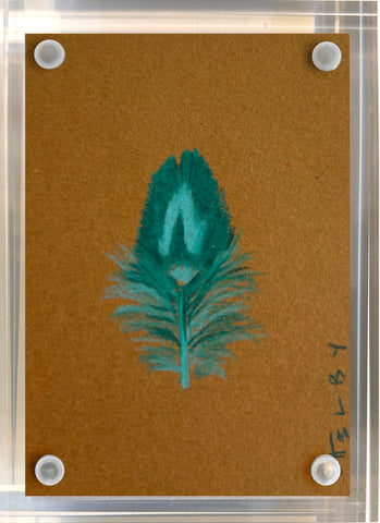 Pheasant Feather (Brown)