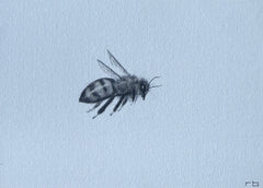 Bee 1