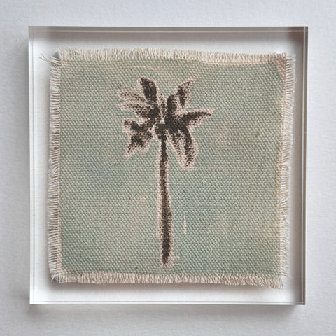 Original Hurricane Palm 10