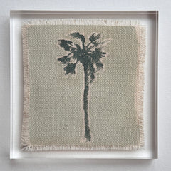Original Hurricane Palm 17