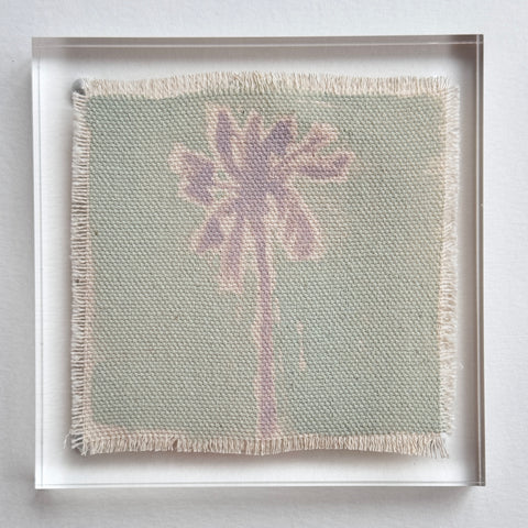 Original Hurricane Palm 4