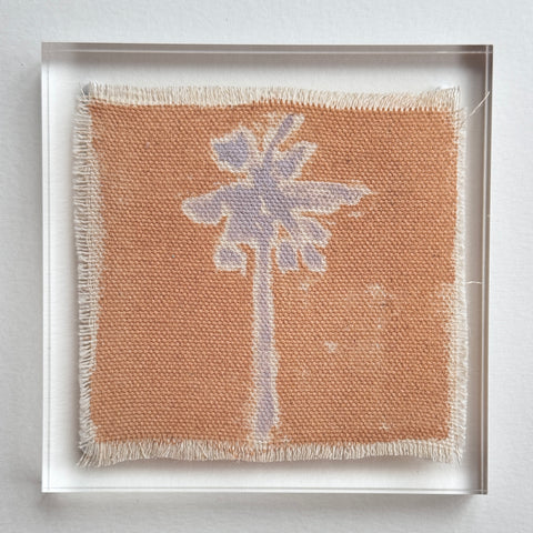 Original Hurricane Palm 6