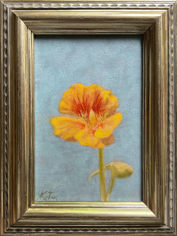 Nasturtium Study