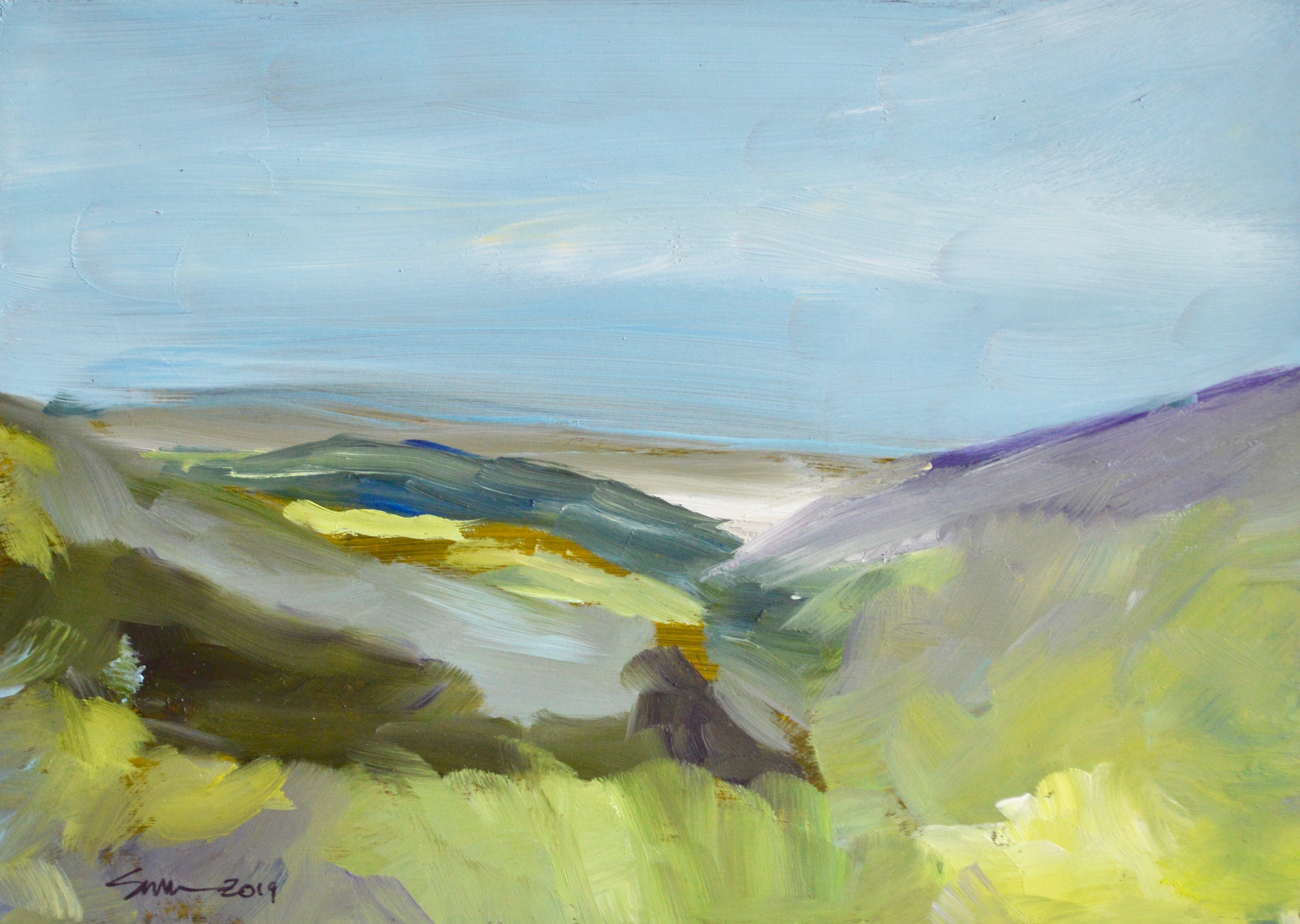 View of Lost Cove
