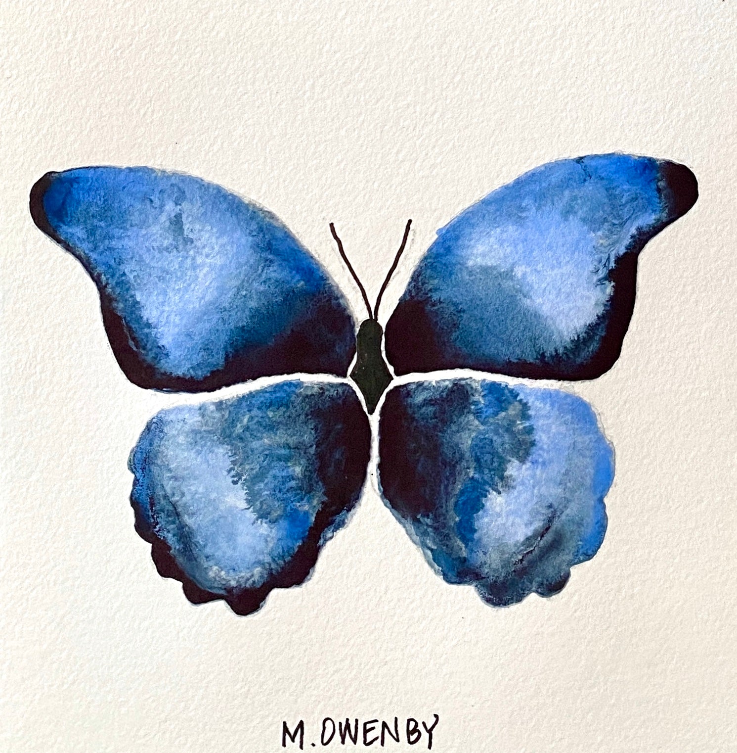 Butterfly No. 9
