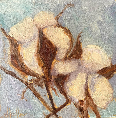 Cotton VII