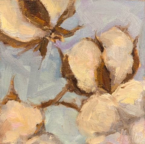 Cotton VI