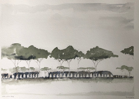Via Appia Aquaduct, Distant