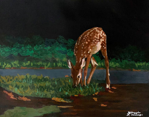 Fawn
