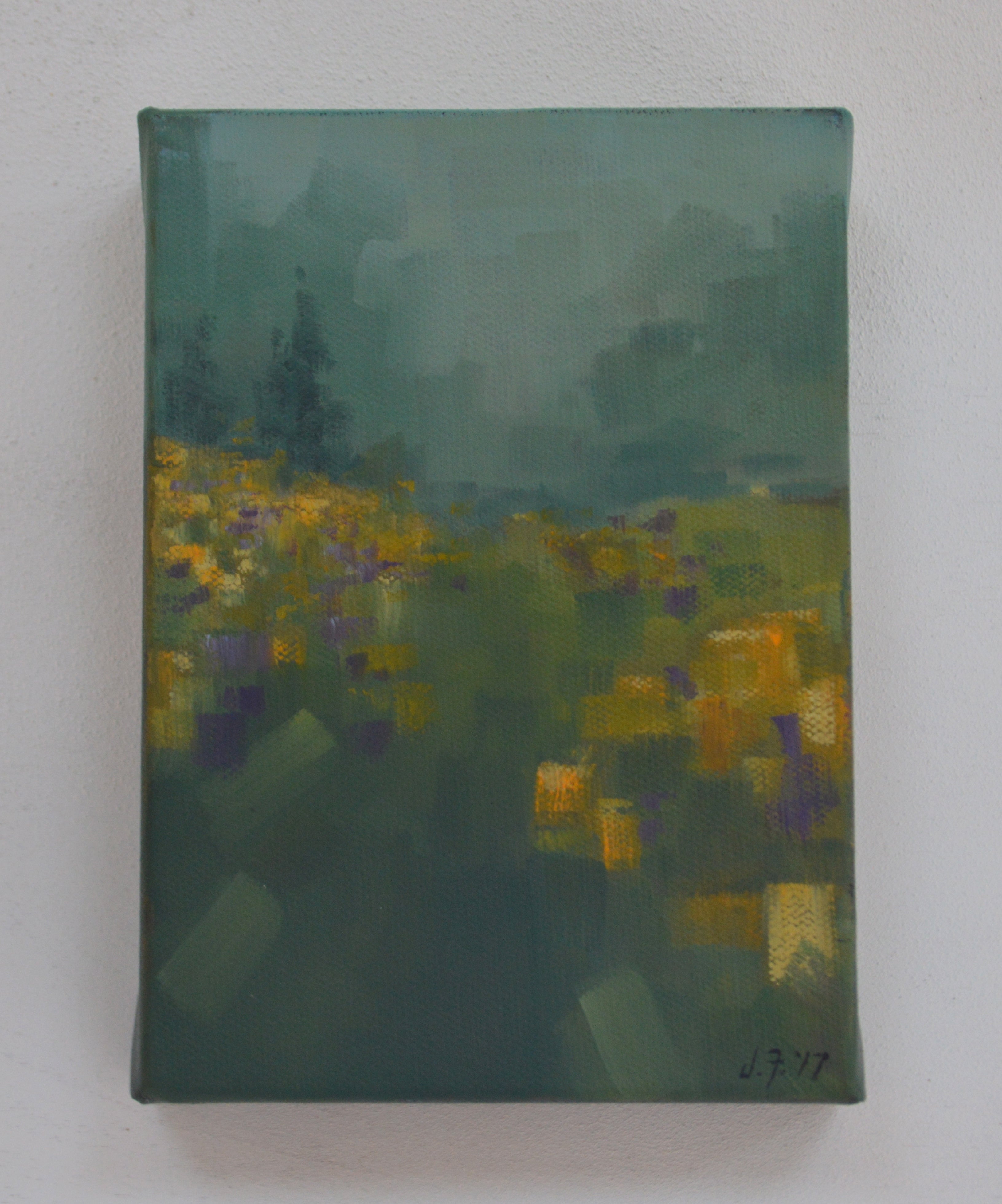 Foggy Meadow